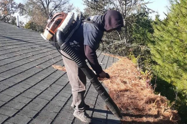 Alex Gutter Cleaning LLC's other services