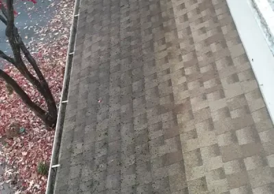 Awesome gutter cleaning service