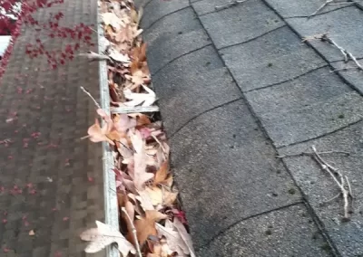 Great gutter cleaning service