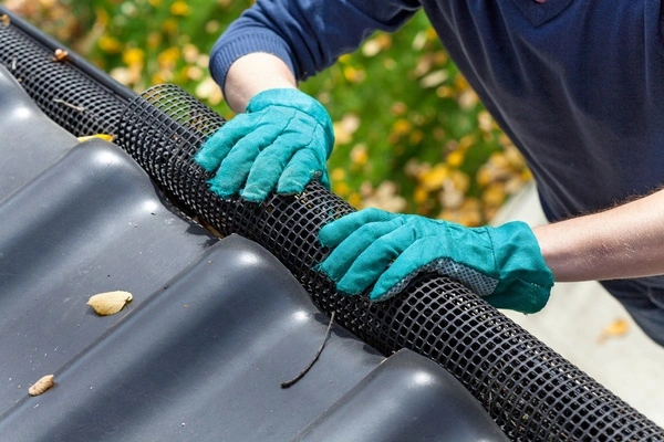 Professional gutter cleaning service