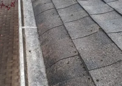 Top-rated gutter cleaner